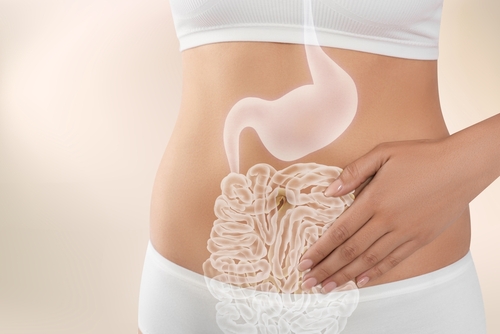 Immagine relativa al post intitolato Problemi Gastrointestinali? Scopri i Rimedi Naturali e Probiotici Più Efficaci 