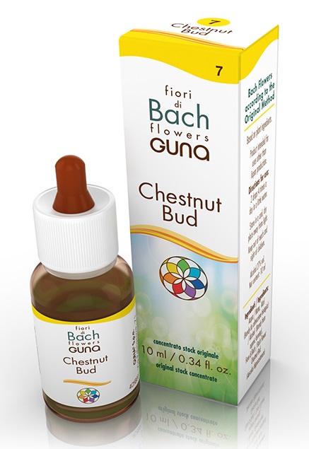CHESTNUT BUD GOCCE 10 ML - farmagiri