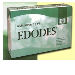 EDODES 16 BUSTINE - farmagiri