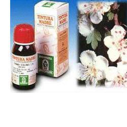 BIANCOSPINO 10 50ML TM - farmagiri