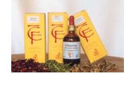 RIBES GEMME MACERATO GLICERICO 50 ML - farmagiri