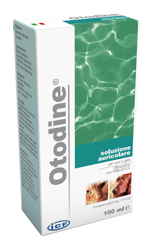 OTODINE DETERGENTE LIQUIDO 100 ML - farmagiri