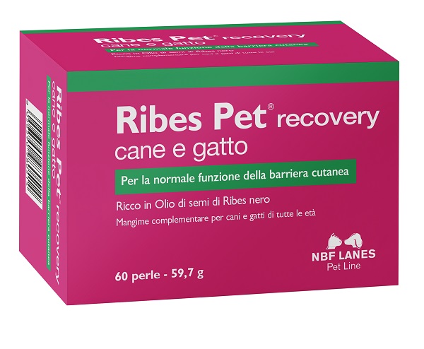 RIBES PET RECOVERY BLISTER 60 PERLE - farmagiri