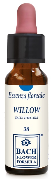 WILLOW ORIGINAL GOCCE 10 ML - farmagiri