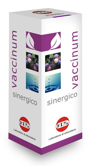 VACCINIUM SINERGICO GOCCE 100 ML - farmagiri