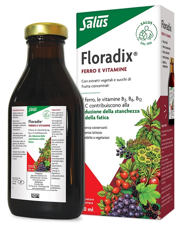 FLORADIX FERRO E VITAMINE 250 ML - farmagiri