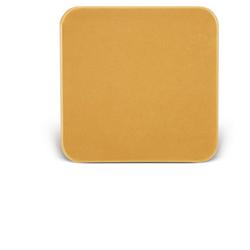 BARRIERA CUTANEA INTERAMENTE IN STOMAHESIVE PER LA PROTEZIONE DELL'AREA PERISTOMALE PLACCA STOMAHESIVE 10X10CM 5 PEZZI - farmagiri