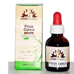 FITOBLASTO FICUS CARICA 50 ML - farmagiri