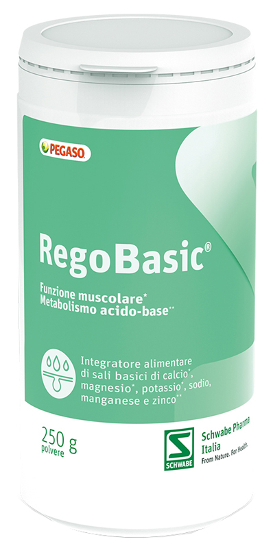 REGOBASIC POLVERE 250 G - farmagiri
