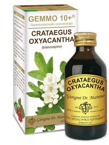 GEMMO 10+ BIANCOSPINO LIQUIDO ANALCOLICO 100 ML - farmagiri