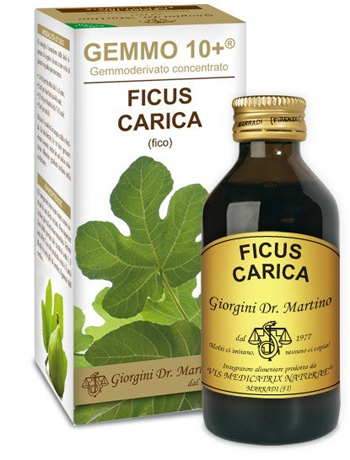 GEMMO 10+ FICO LIQUIDO ANALCOLICO 100 ML - farmagiri