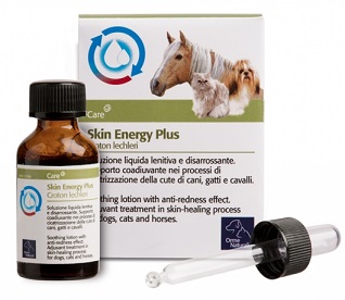 AKIN ENERGY PLUS CROTON 20 ML - farmagiri