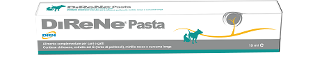 DIRENE PASTA 15 ML - farmagiri
