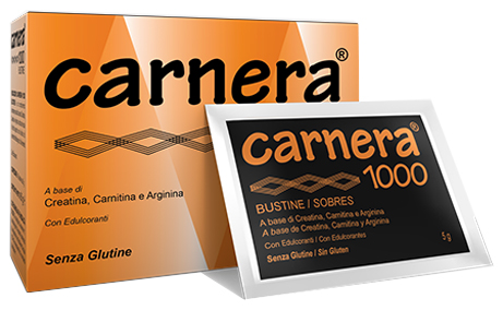 CARNERA 1000 18 BUSTINE - farmagiri