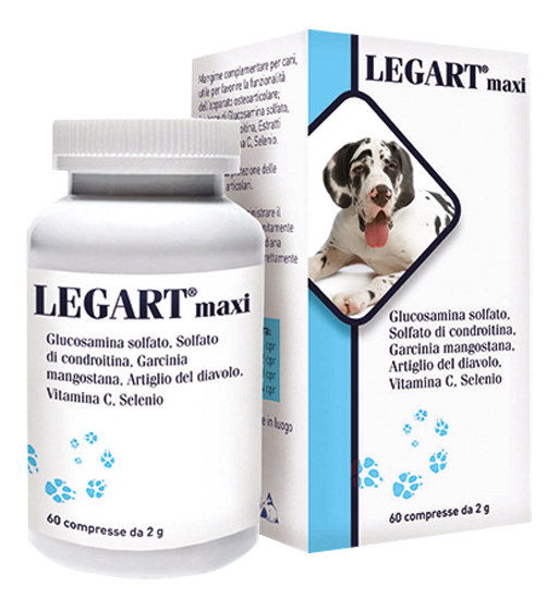 LEGART MAXI 60 COMPRESSE 2 G - farmagiri