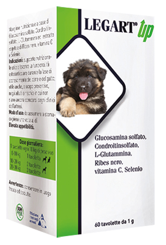 LEGART UP 60 COMPRESSE DA 1 G - farmagiri