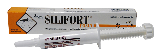 SILIFORT PASTA OS SIRINGA 15 G - farmagiri
