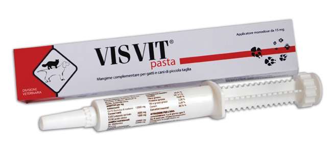 VISVIT PASTA OS SIRINGA 15 G - farmagiri