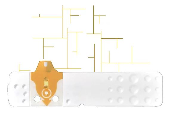 STRISCE MISURAZIONE GLICEMIA LINEA D ORO 25 PEZZI - farmagiri