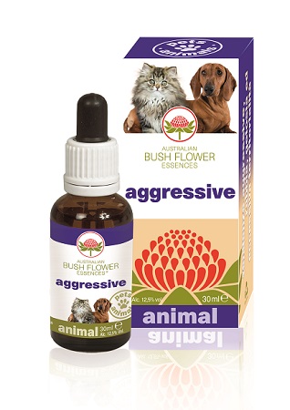 AGGRESSIVE 30 ML - farmagiri