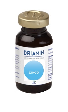 DRIAMIN ZINCO 10 FLACONCINI 15 ML - farmagiri