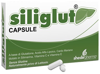 SILIGLUT 20 CAPSULE - farmagiri