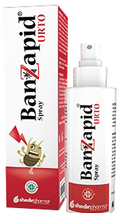 BANZAPID SPRAY TRATTAMENTO 100 ML - farmagiri