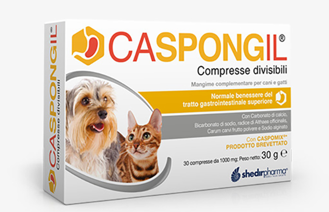 CASPONGIL 30 COMPRESSE DIVISIBILI - farmagiri