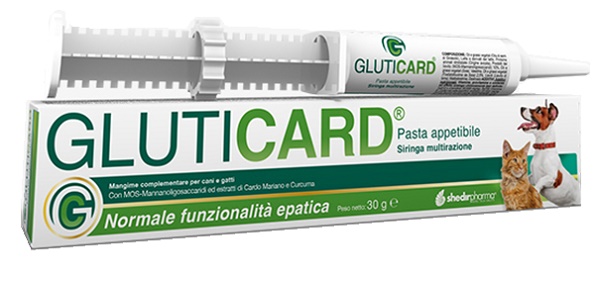 GLUTICARD PASTA 30 G - farmagiri