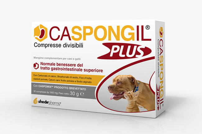 CASPONGIL PLUS 30 COMPRESSE - farmagiri
