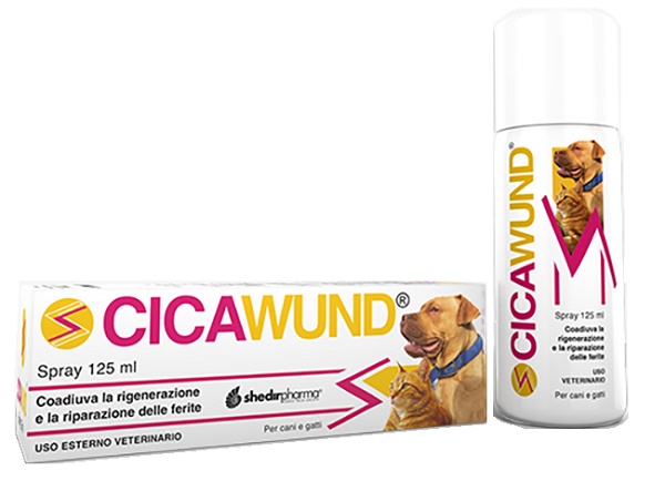 CICAWUND SPRAY 125 ML - farmagiri