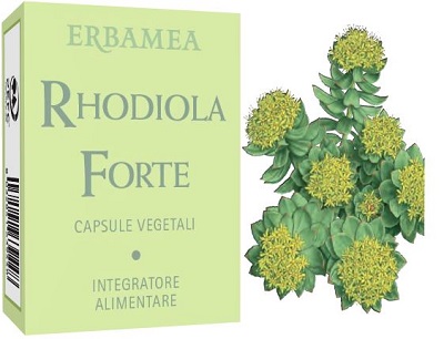 RHODIOLA FORTE 24 CAPSULE - farmagiri