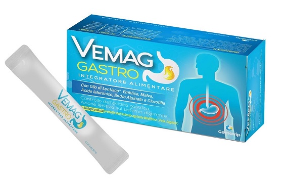 VEMAG GASTRO 20 STICK - farmagiri