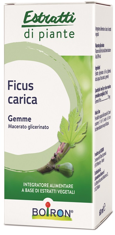 FICUS CARICA BOIRON MACERATO GLICERICO 60 ML - farmagiri