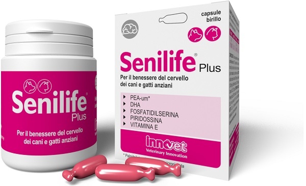 SENILIFE PLUS 60 CAPSULE - farmagiri