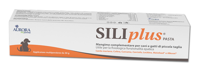 SILIPLUS PASTA 30 G - farmagiri